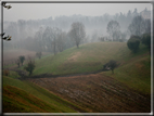 foto Colline di Romano d'Ezzelino nella Nebbia